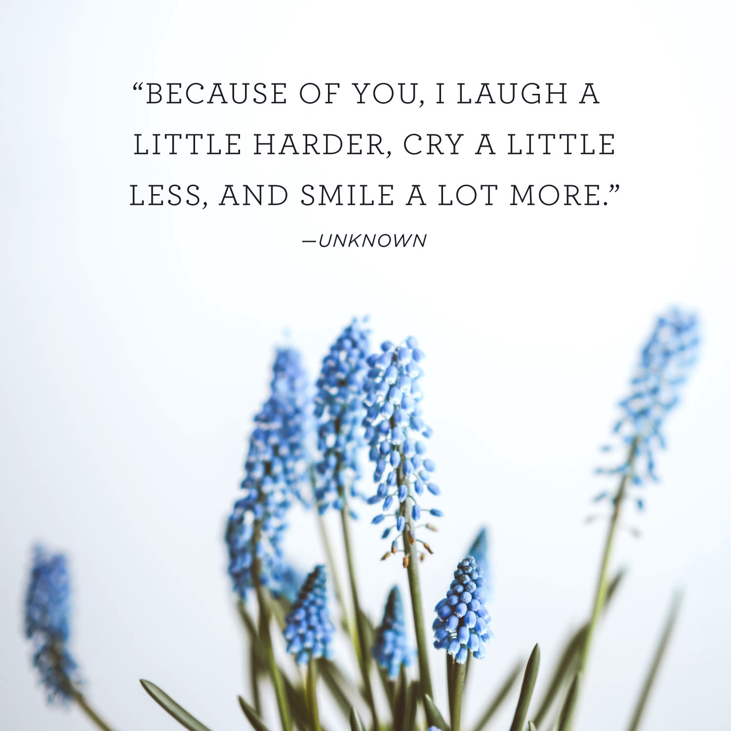 Quote above background image: 'Because of you, I laugh a little harder, cry a little less, and smile a lot more.' - Unknown