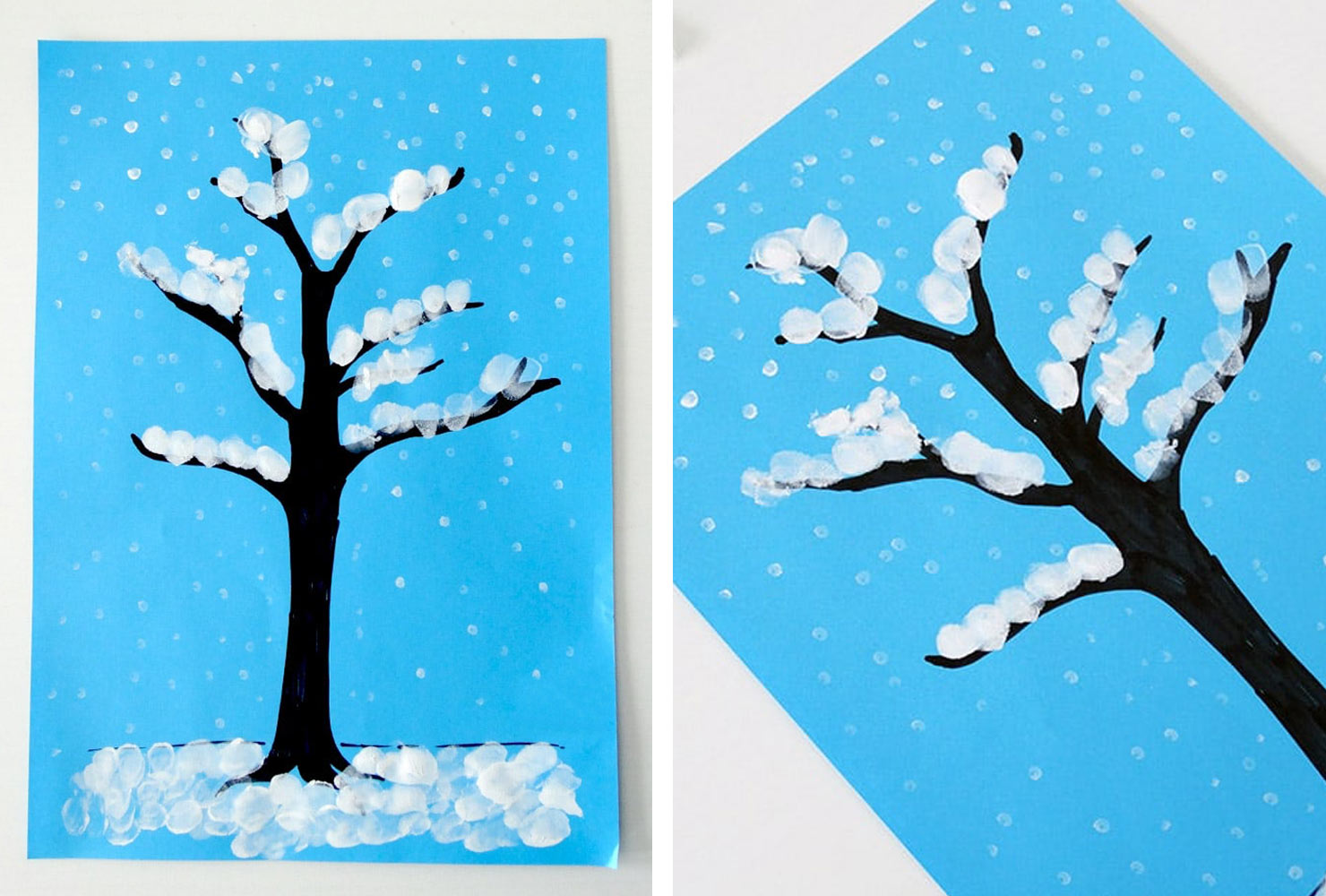  blue backdrop with a black tree covered in snow