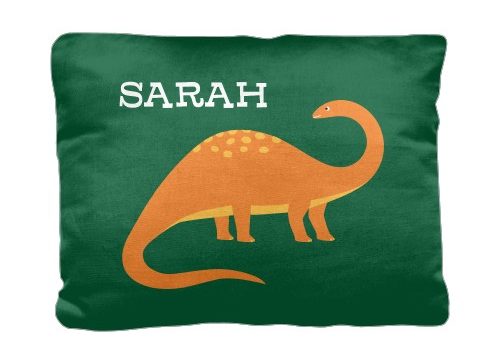 Dinosaur pillow for a birthday party.