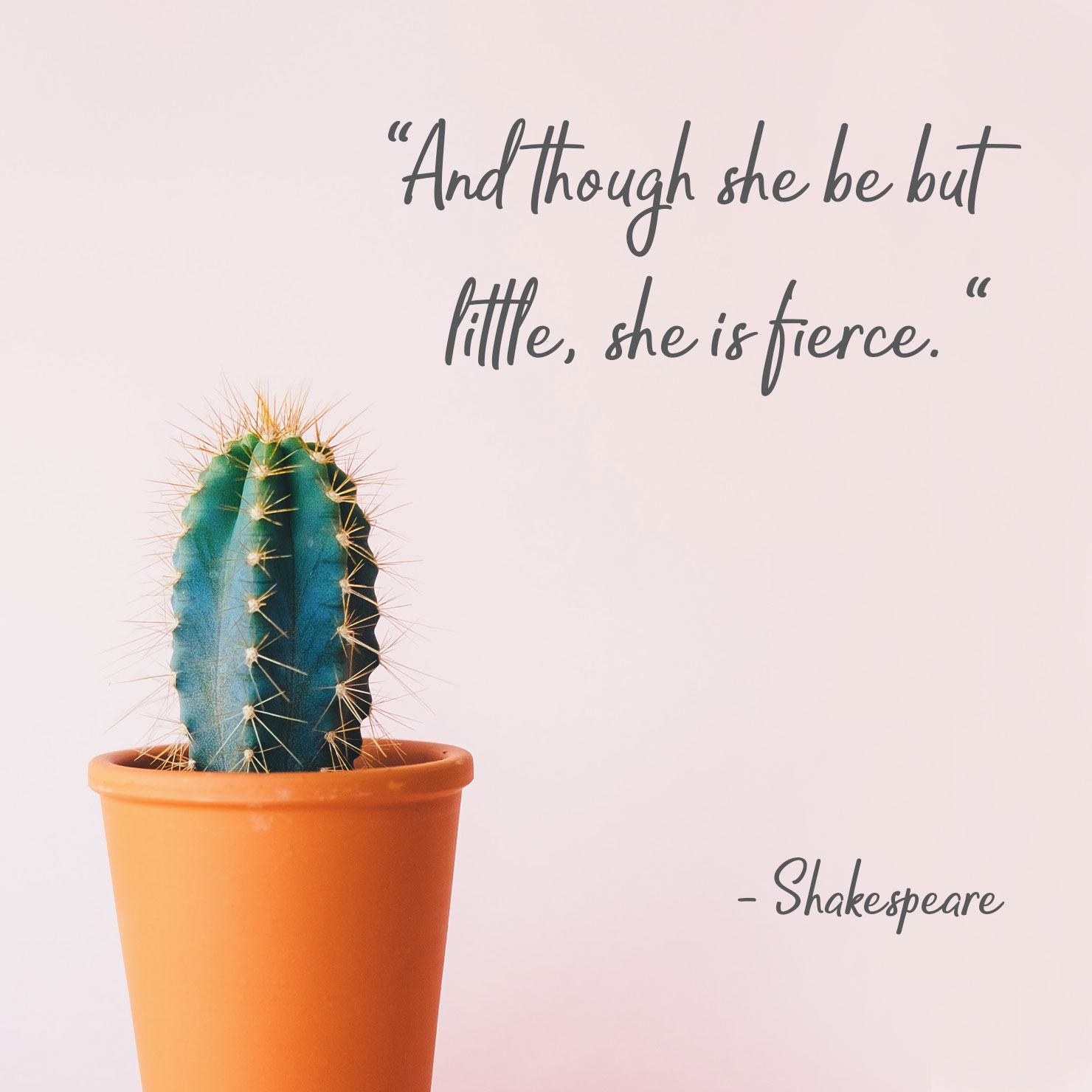 for daughter graduation quote: and though she be but little, she is fierce - Shakespeare