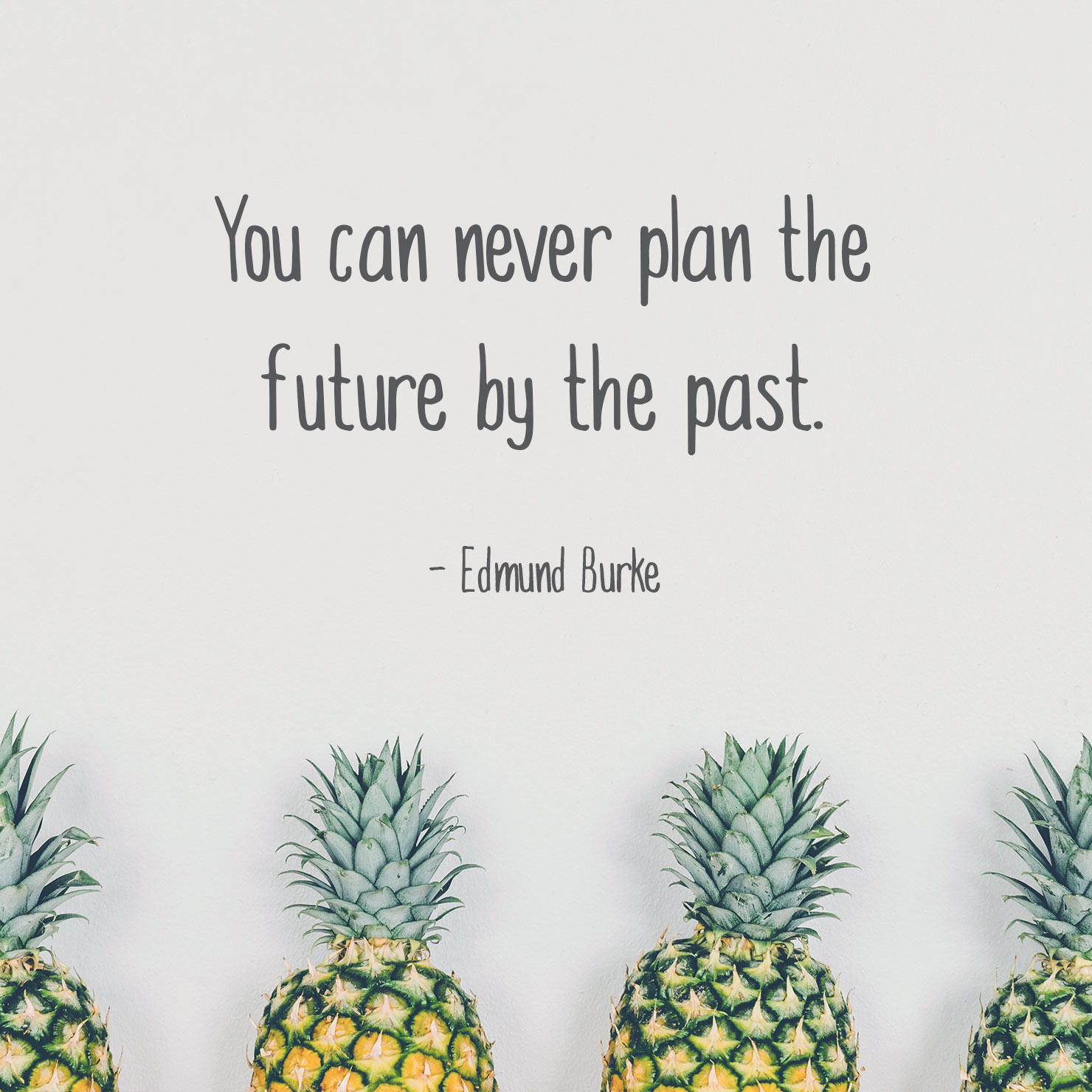 wisdom graduation quote: you can never plan the future by the past - Edmund Burke