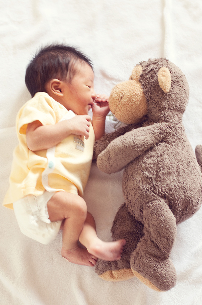 newborn baby holding stuffed animal