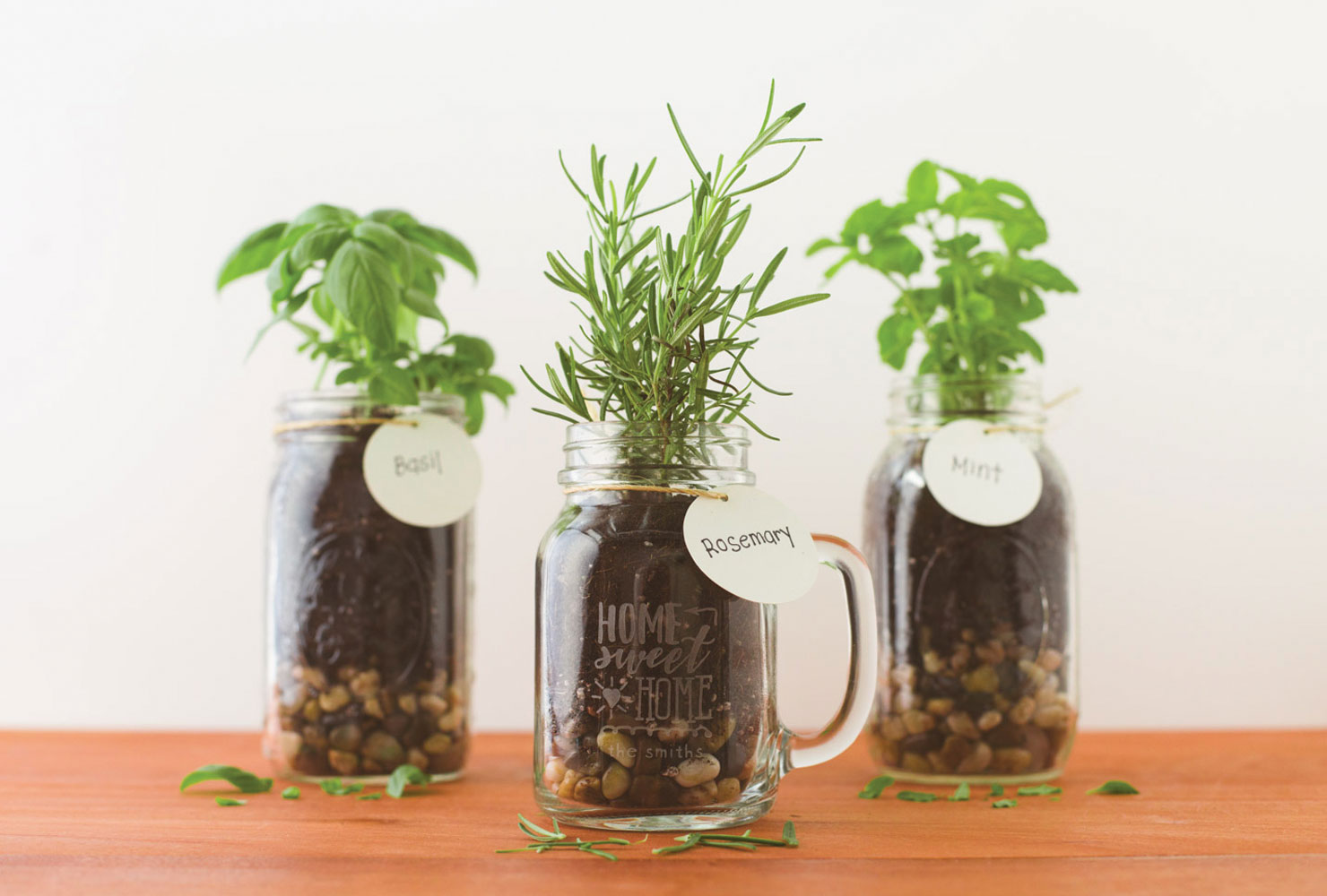 personalized mason jars with herb plants