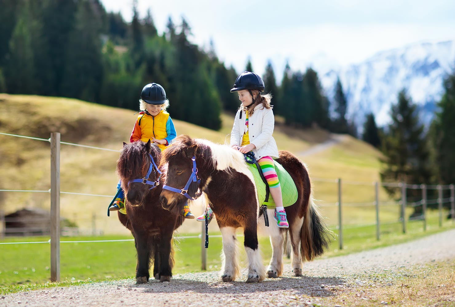 kids riding miniature horses