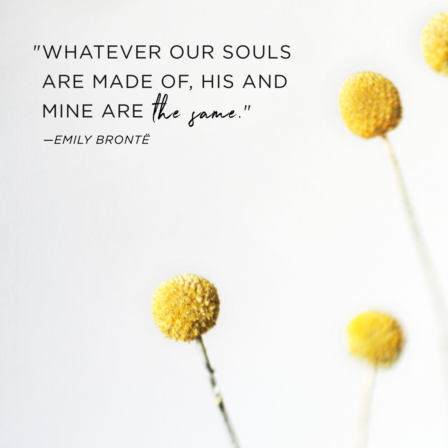 Quote above background image: Whatever our souls are made of, his and mine are the same. - Emily Bronte