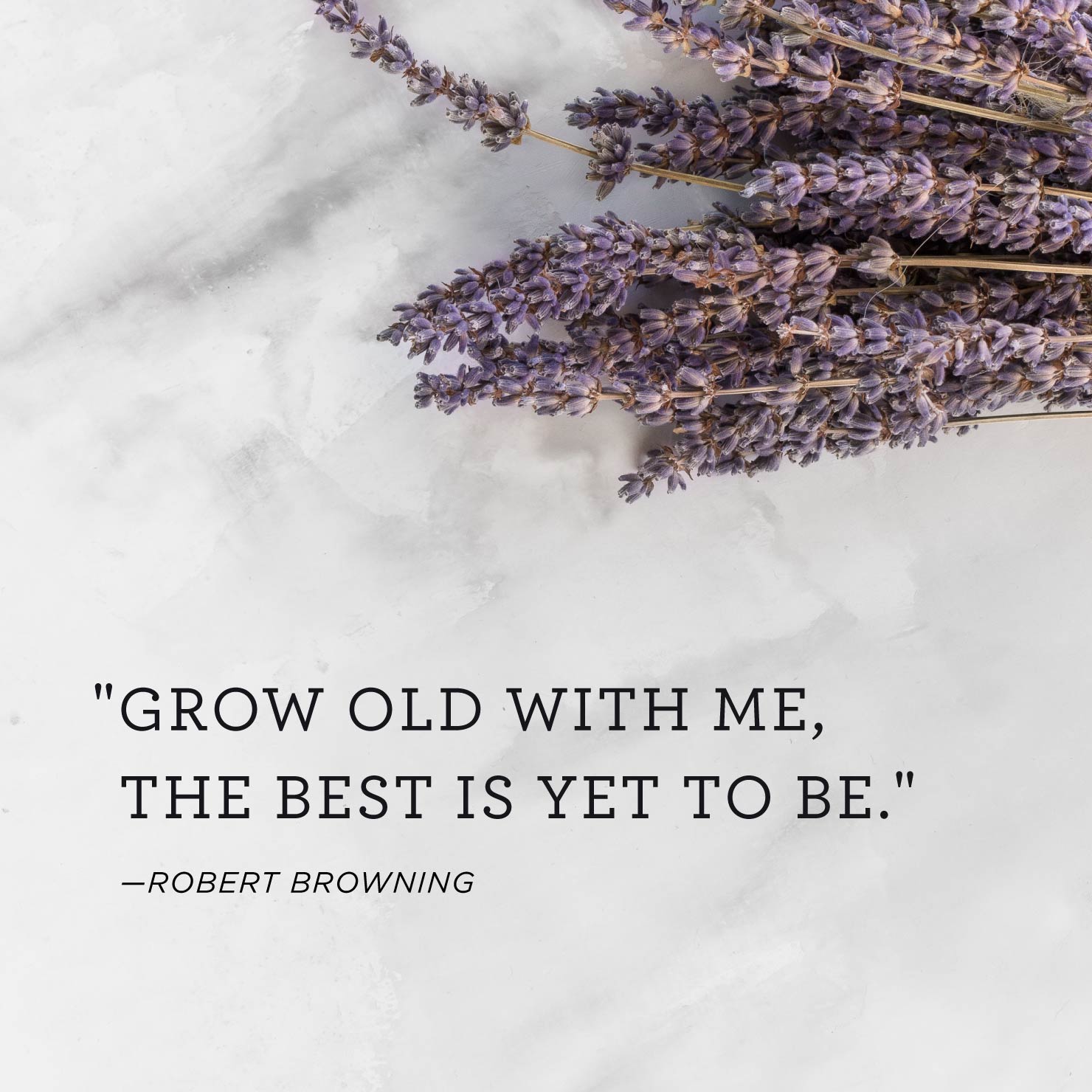 Quote above background image: Grow old with me, the best is yet to be. - Robert Browning