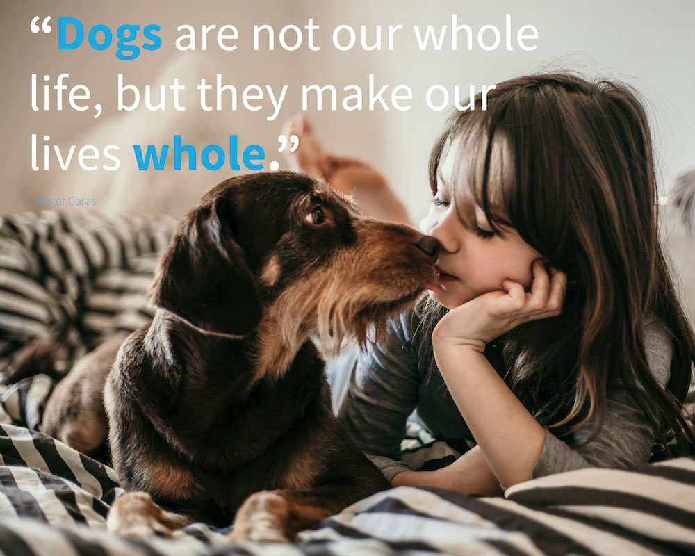 puppy quotes and cute dog quote