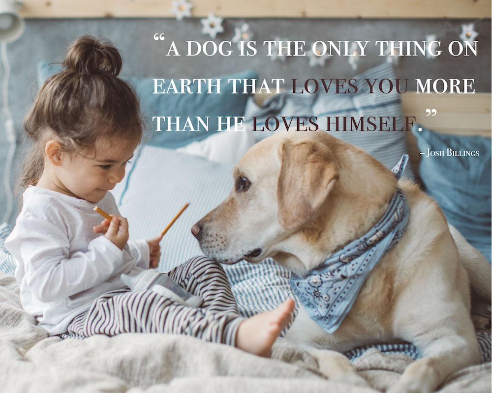 Cute Dog Quotes Love And Loyalty