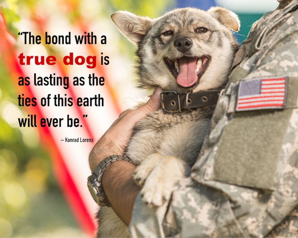Dog Quotes Love And Loyalty with dog caption