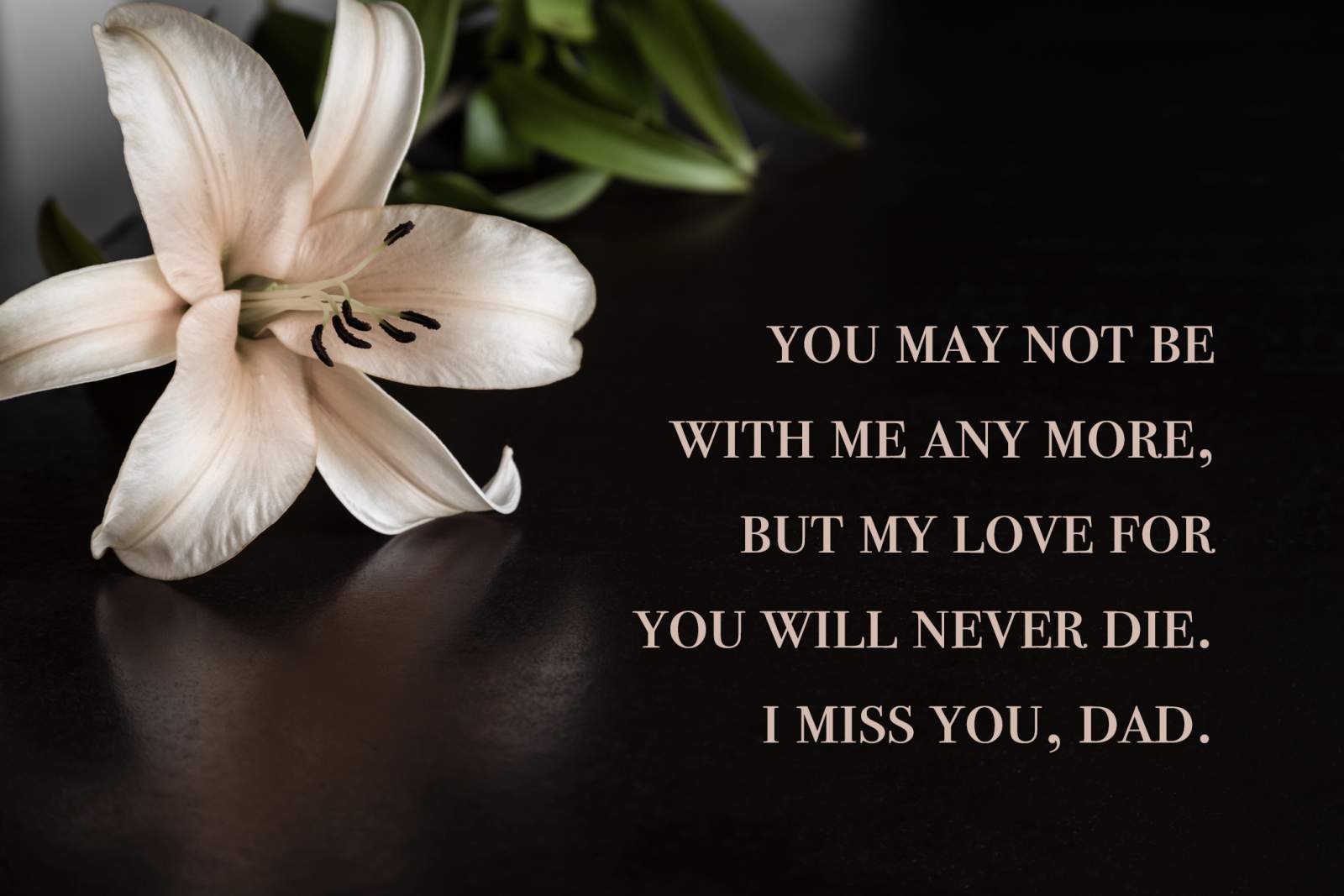 flowers with a miss you dad quote overlay
