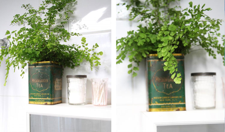 10th wedding anniversary gift ideas fern antique tea tin