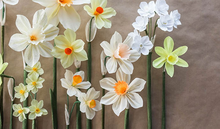 10th wedding anniversary gift ideas paper daffodils