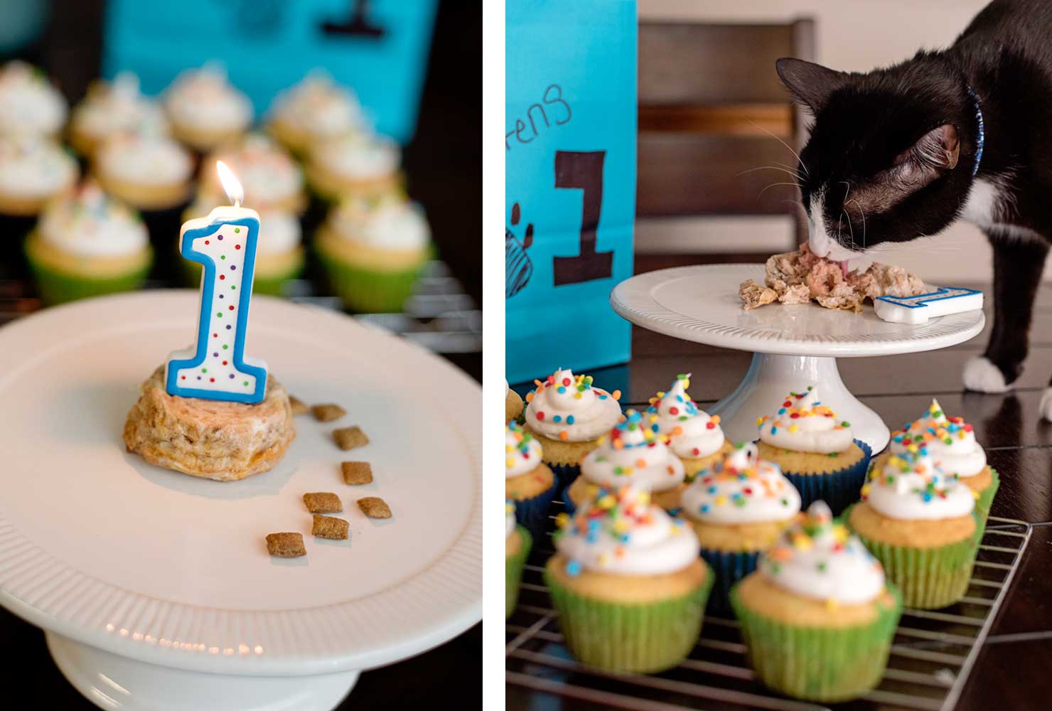 cat birthday party tuna cake