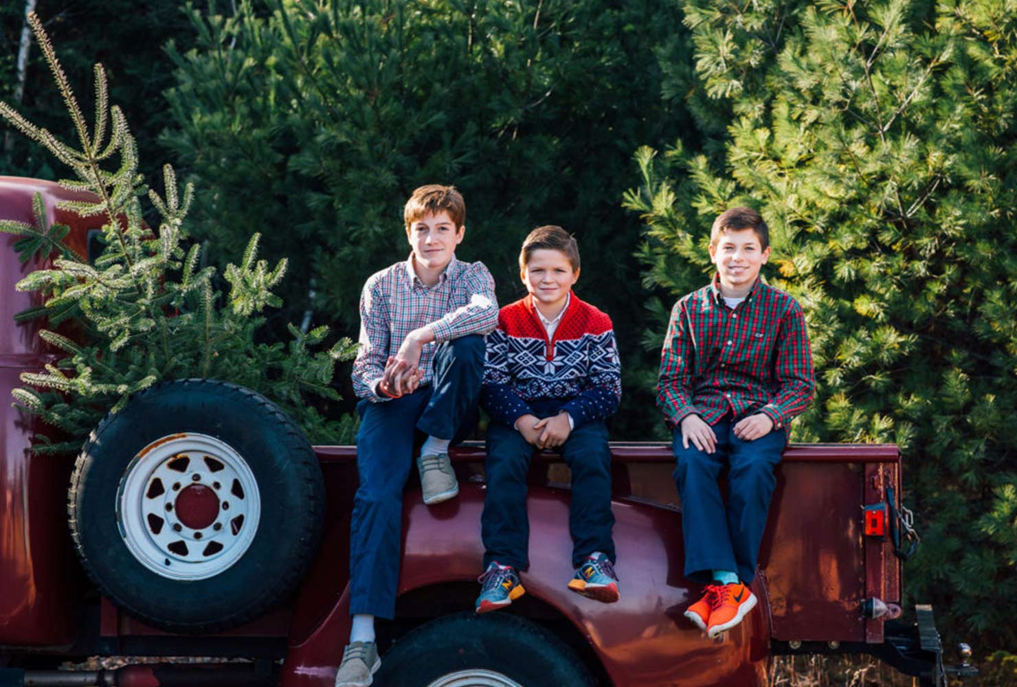 sibling photo ideas brothers truck bed