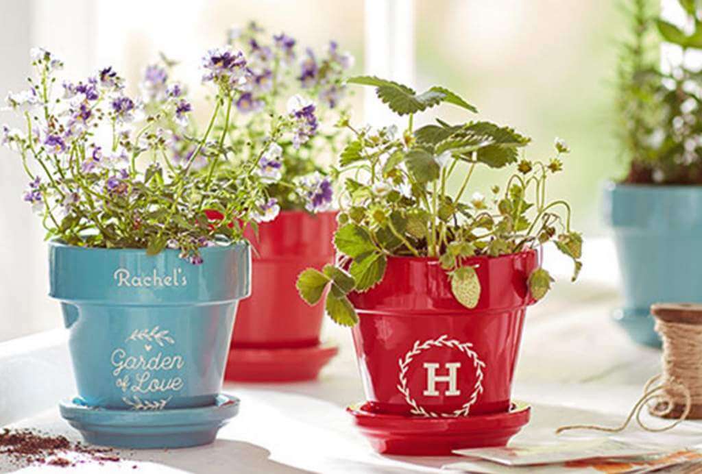 Personalized Flower pots in a window.