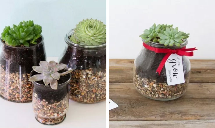 gifts for new homeowners housewarming terrarium