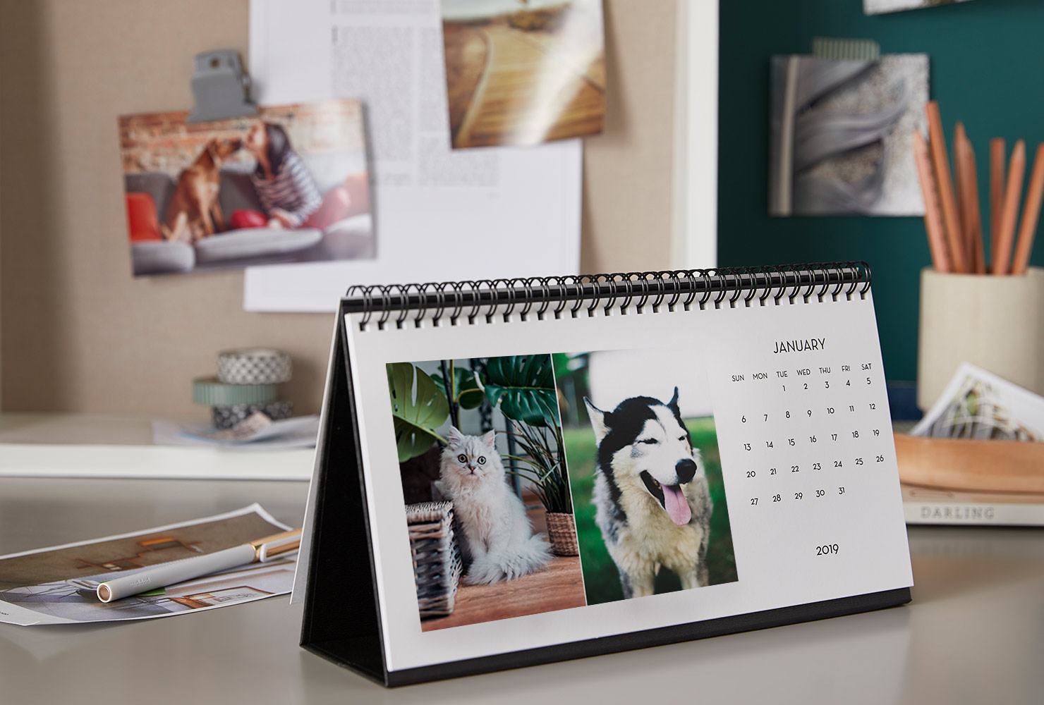 dog and cat desk calendar