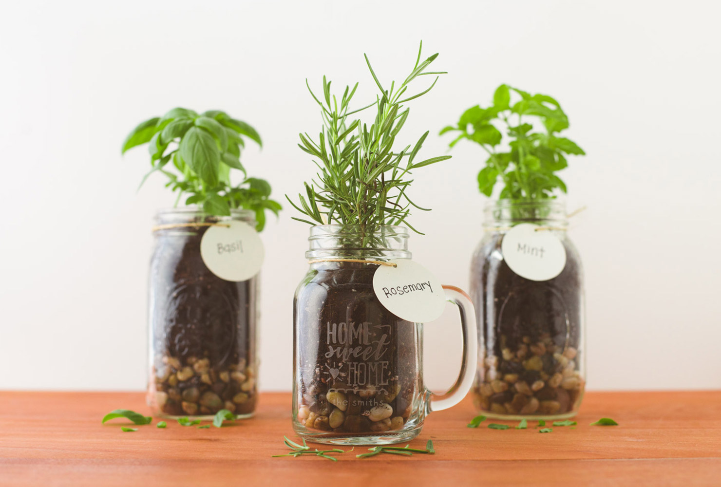 celebration of life ideas mason jar plants