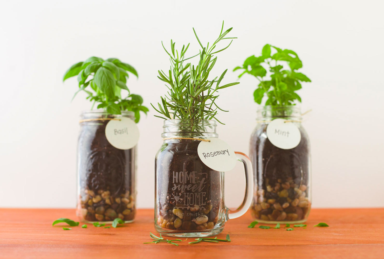 20 dollar gift ideas mason jar plants.