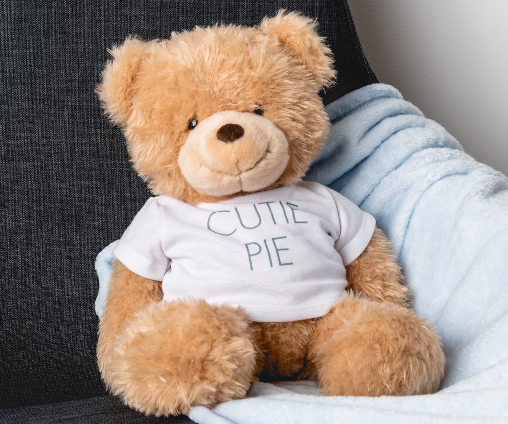A teddy bear with a custom T-shirt for a cute gift idea.