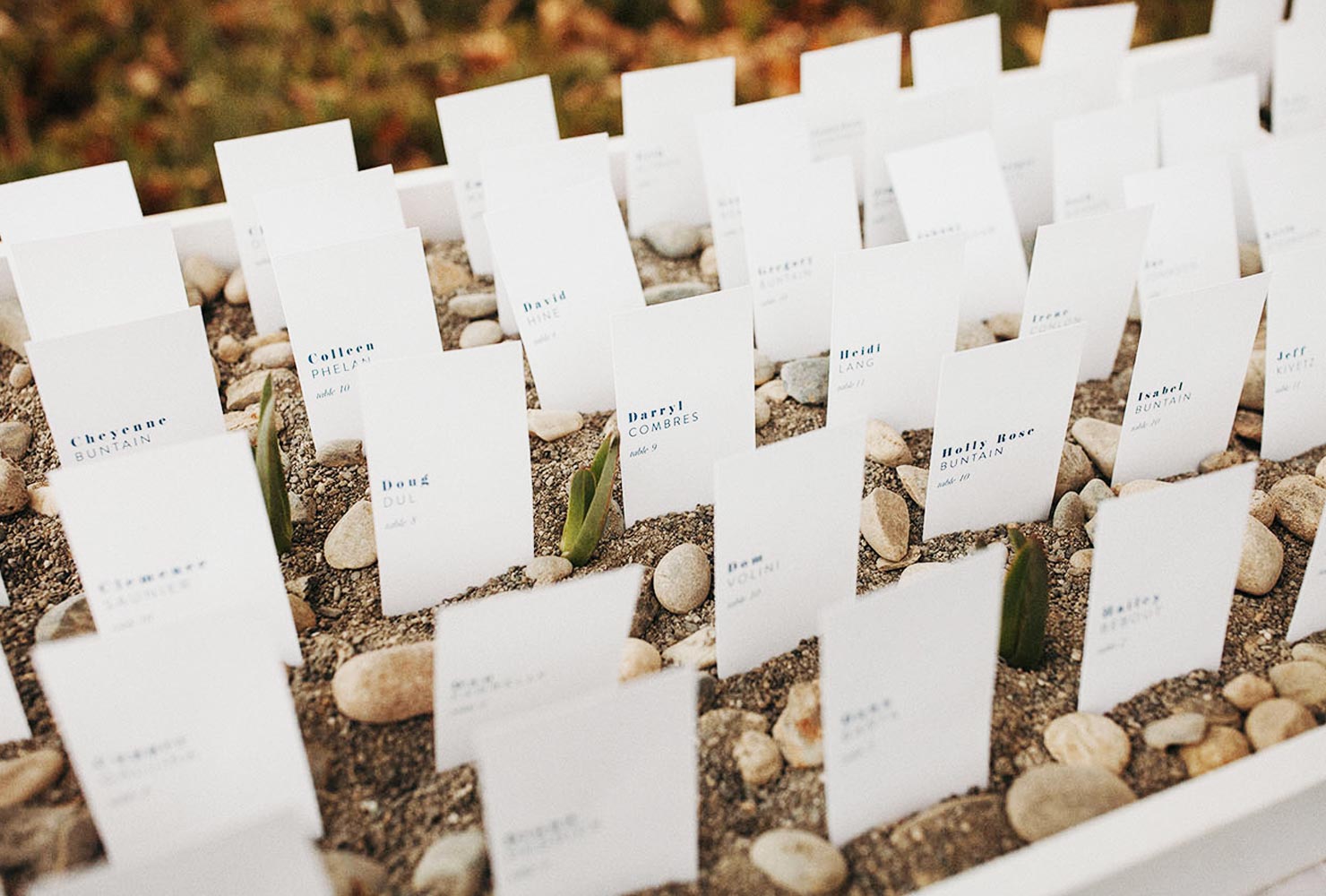 wedding place card ideas garden of guests