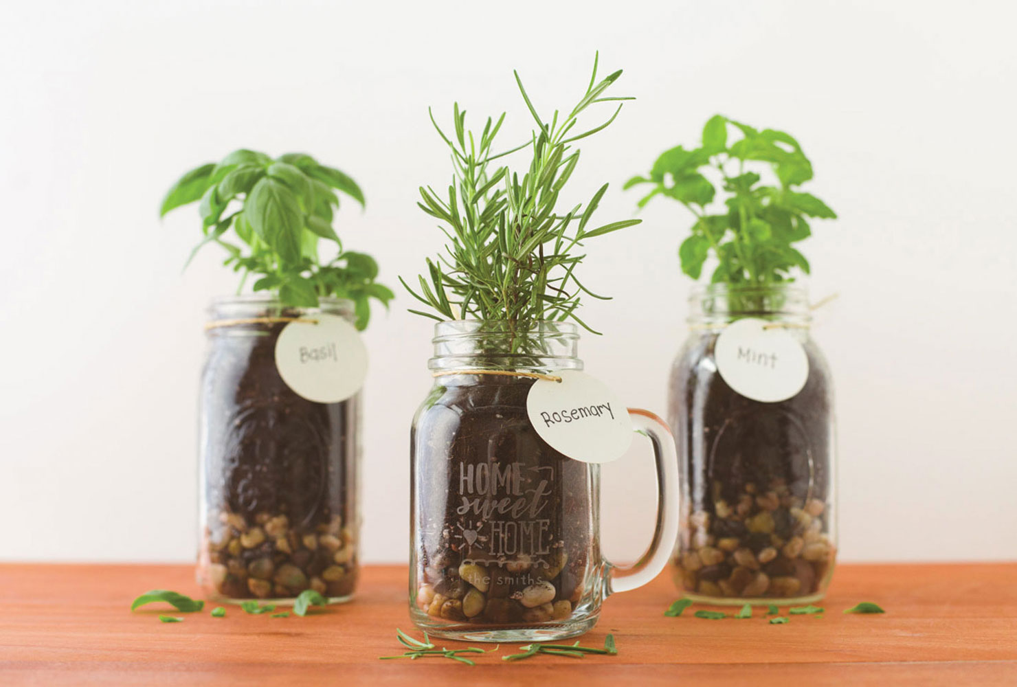 Herb garden mason jars.