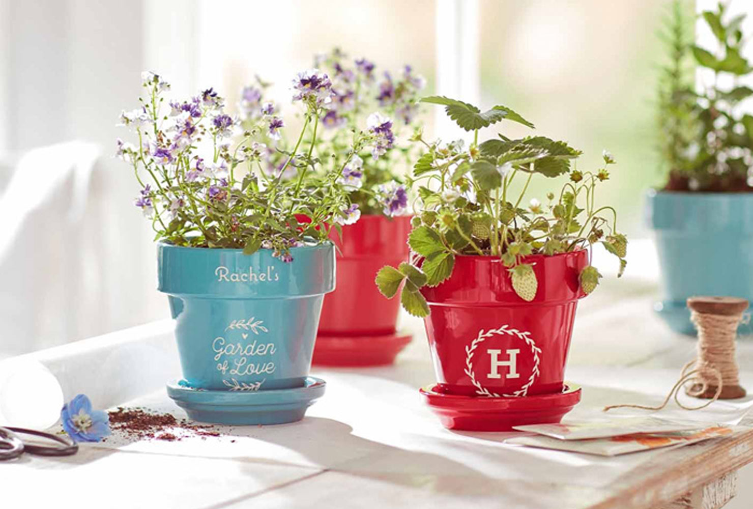 Personalized red and blue planters.