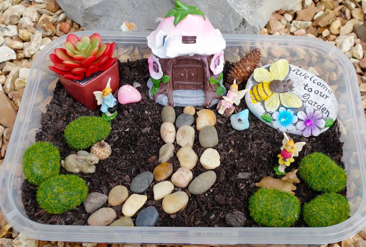 Kids DIY fairy garden.