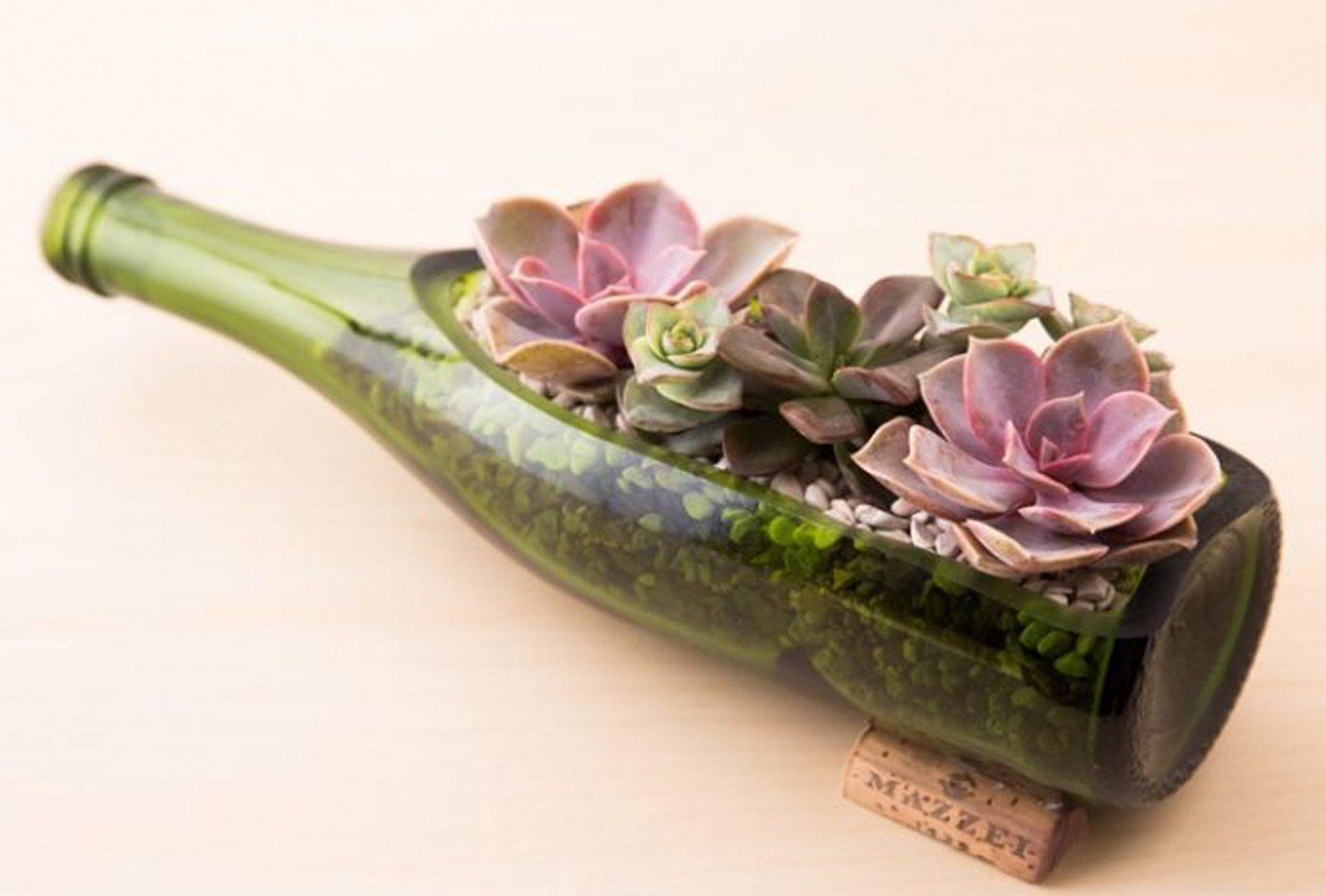 Wine bottle planter with succulents.
