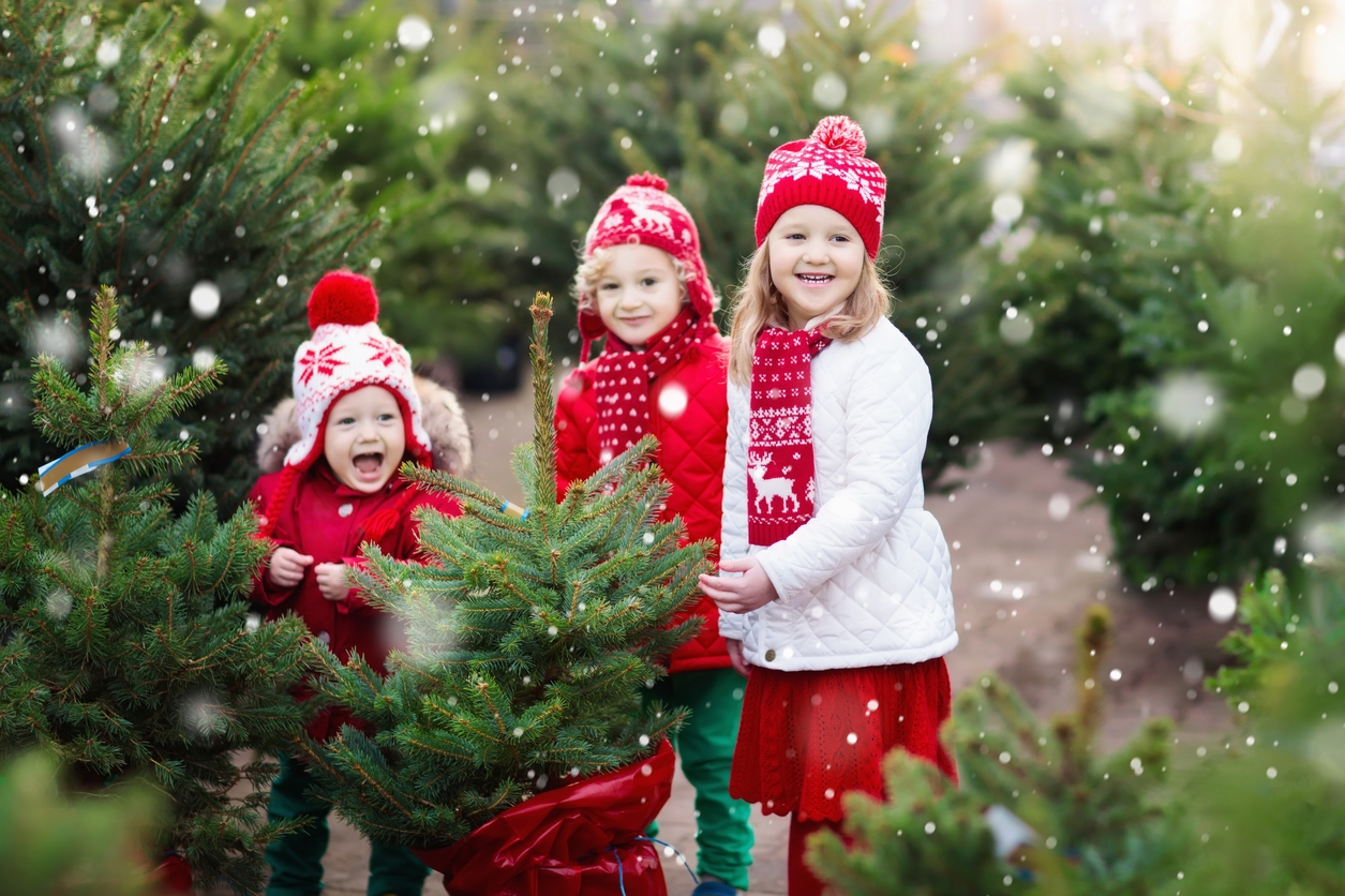 Family selecting Christmas tree. Kids choosing freshly cut Norway Xmas tree at outdoor lot. Children buying gifts at winter fair. Boy and girl shopping for Christmas decoration at market. Holiday time