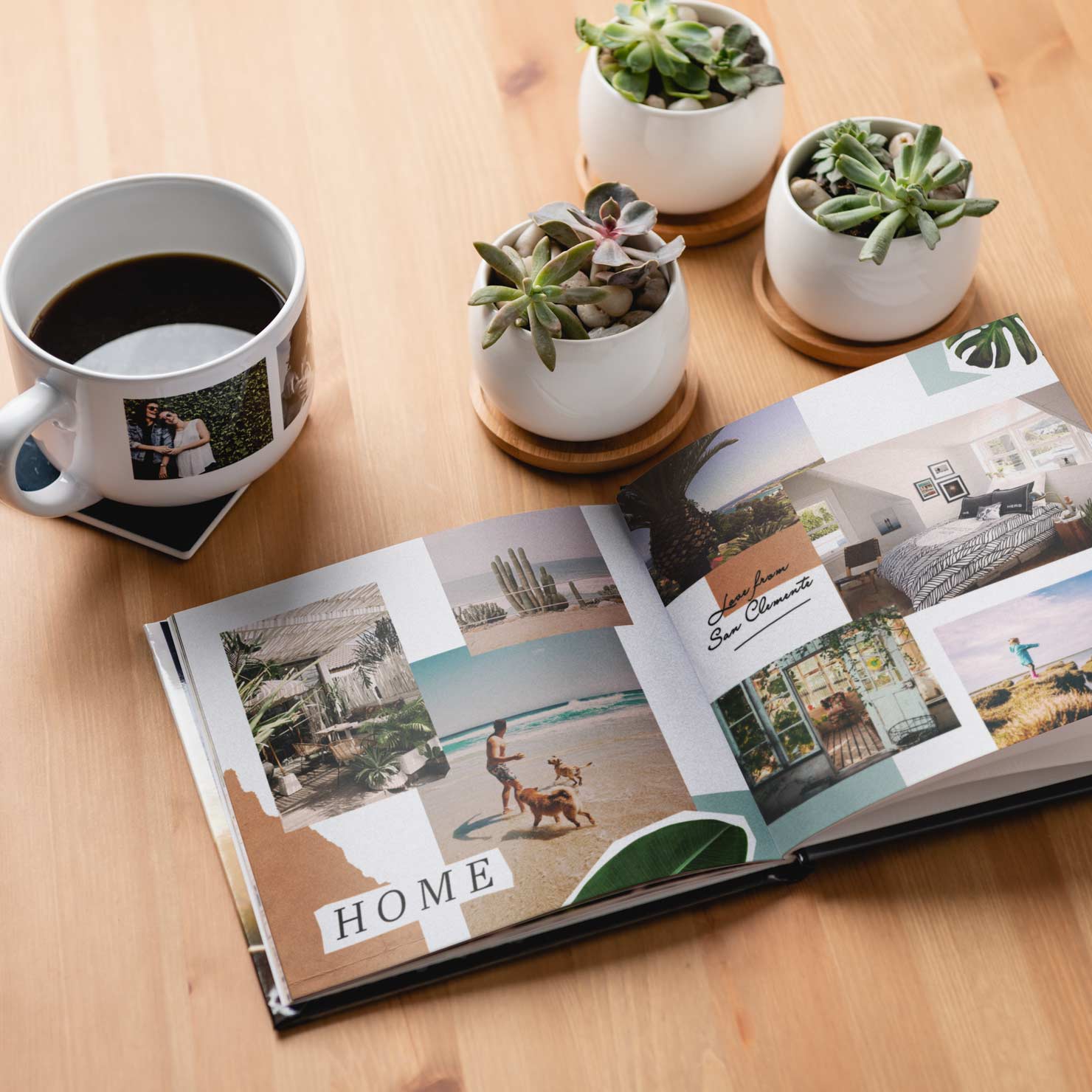 A small photo album surrounded by succulents and a photo coffee mug.